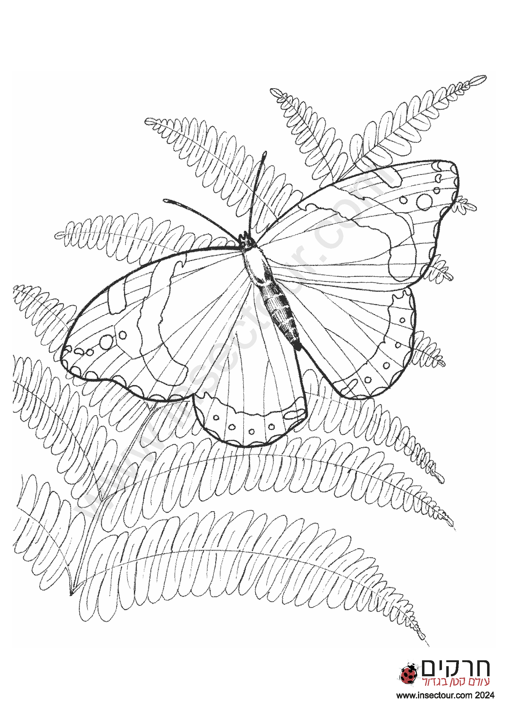 דף צביעה פרפרים ופרחים